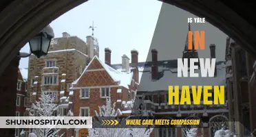 Is Yale in New Haven? Exploring the University's Historic Location