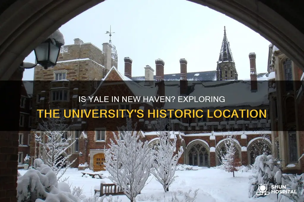 is yale in new haven