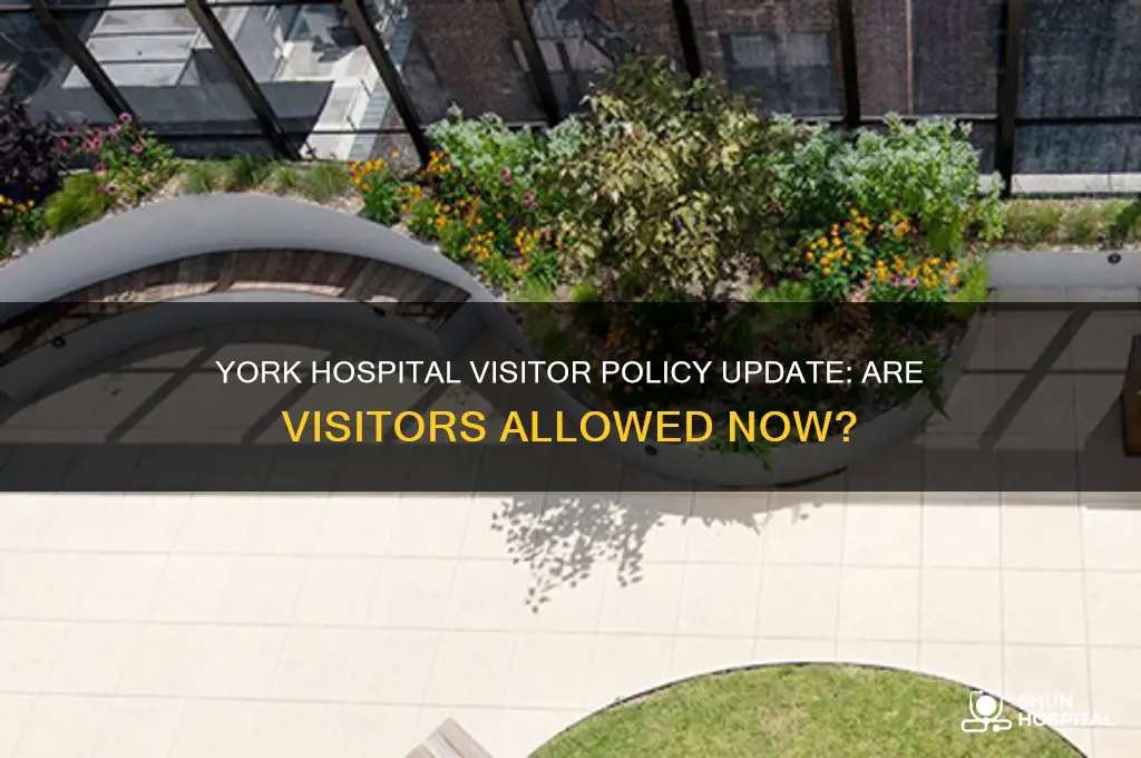 is york hospital allowing visitors