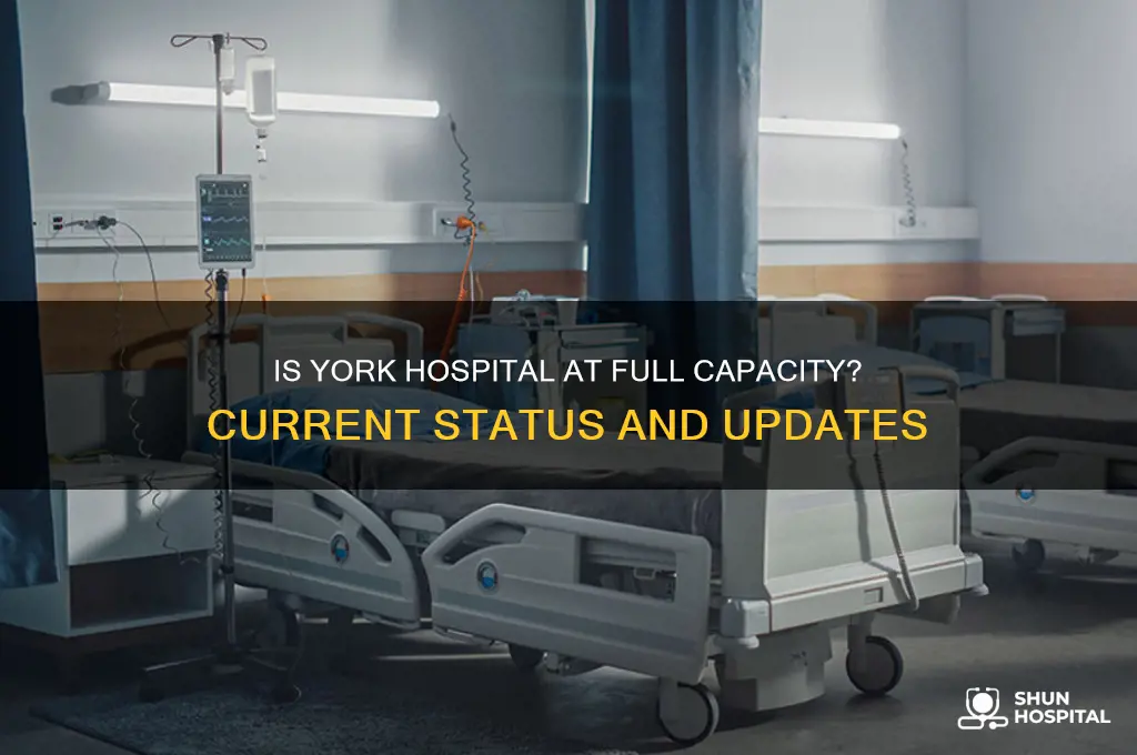is york hospital full