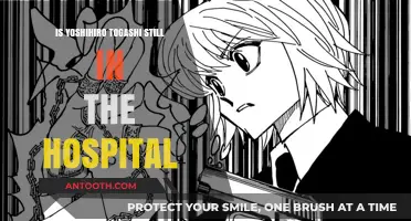 Yoshihiro Togashi's Health: Hospitalization and Hiatus