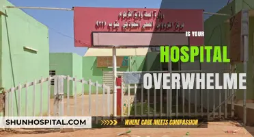 Overwhelmed Hospitals: Causes, Consequences, and Strategies for Relief