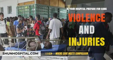 Hospital Readiness: Tackling Gang Violence and Injury Management Strategies