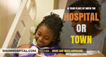 Where Were You Born? Hospital vs. Hometown Identity Explored