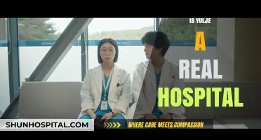 Is Yulje a Real Hospital? Uncovering the Truth Behind the Name