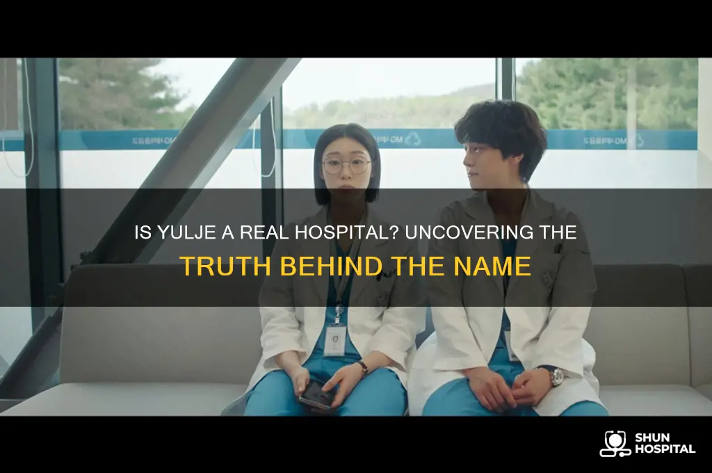 is yulje a real hospital