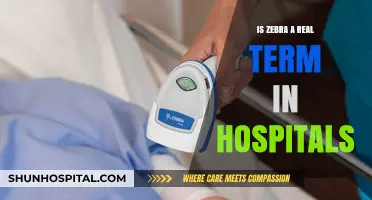 Zebra: A Real Hospital Term or Just a Myth?