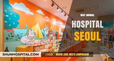 May Animal Hospital Seoul: Compassionate Care for Your Pets in Korea