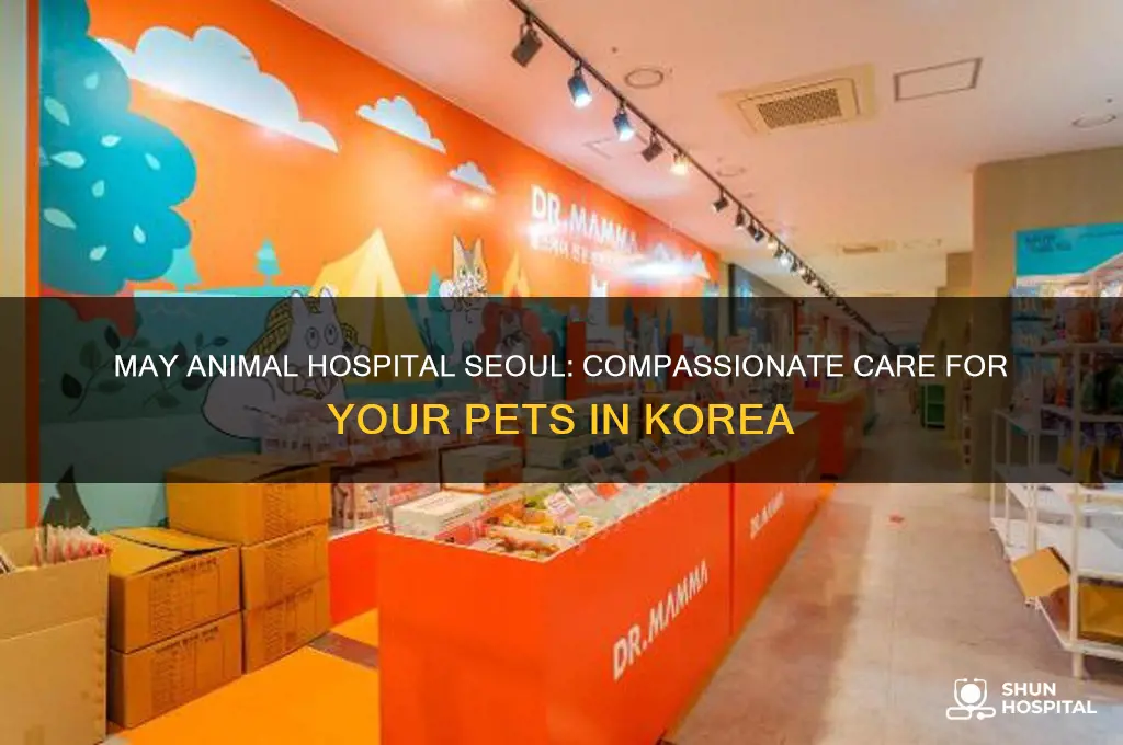 may animal hospital seoul