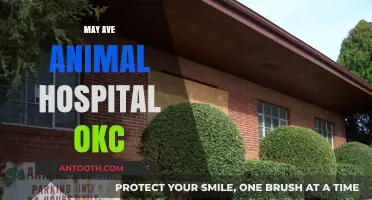 May Ave Animal Hospital OKC: Expert Pet Care in Oklahoma City