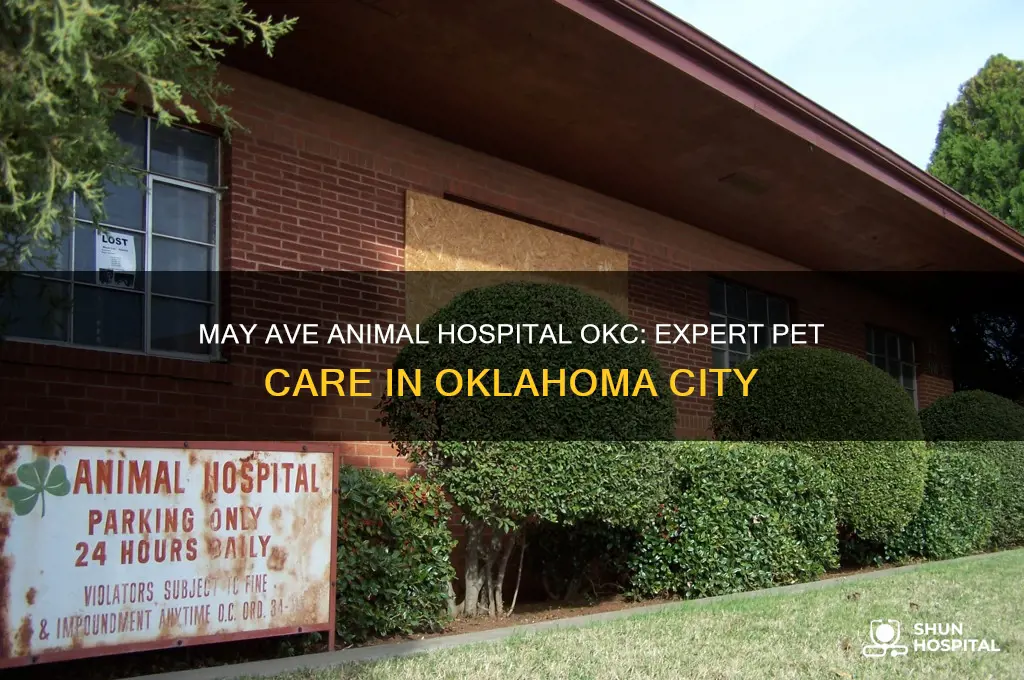 may ave animal hospital okc