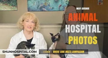 May Avenue Animal Hospital: A Photo Tour of Our Caring Facility