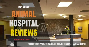 May Avenue Animal Hospital Reviews: Pet Care Excellence Unveiled