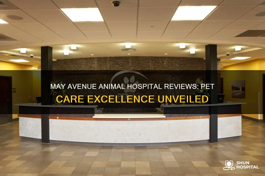 may avenue animal hospital reviews