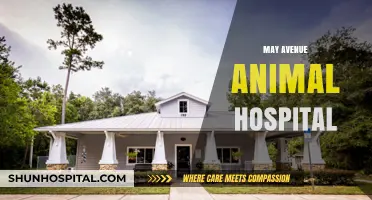 May Avenue Animal Hospital: Compassionate Care for Your Furry Friends