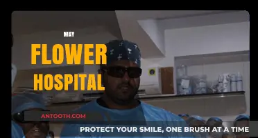 May Flower Hospital: Excellence in Healthcare, Compassion in Every Service