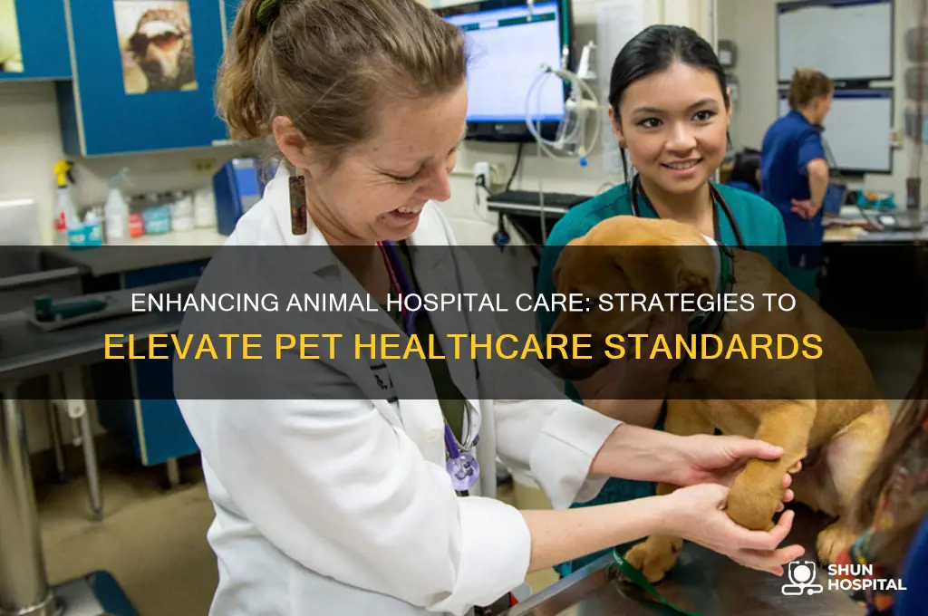 may heighten animal hospital