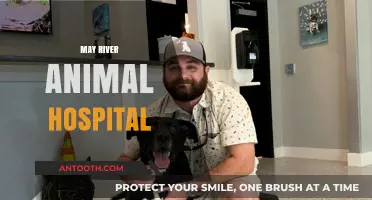 May River Animal Hospital: Compassionate Care for Your Beloved Pets