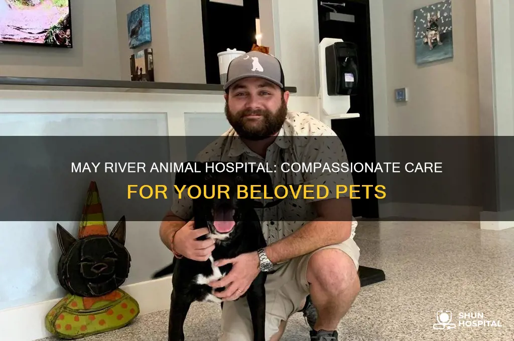 may river animal hospital