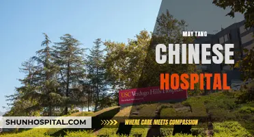 Exploring May Tang Chinese Hospital: Traditional Healing Meets Modern Care