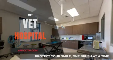 May Vet Hospital: Compassionate Care for Your Furry Family Members