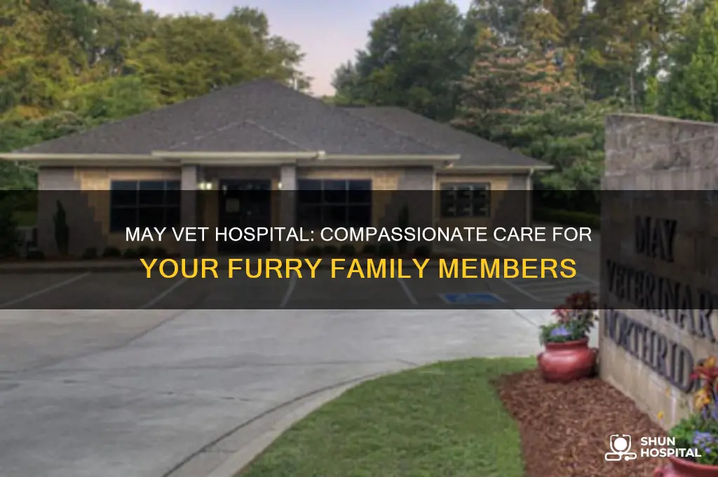 may vet hospital