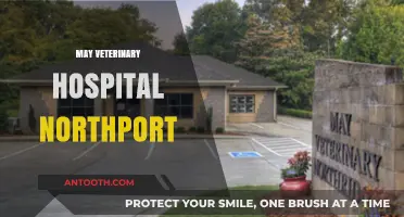 May Veterinary Hospital Northport: Expert Pet Care and Services