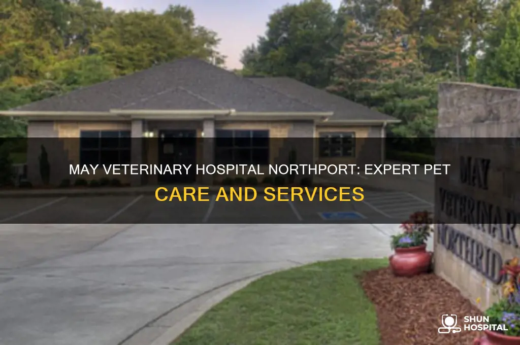may veterinary hospital northport