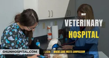 May Veterinary Hospital: Expert Care, Compassionate Service for Your Pets