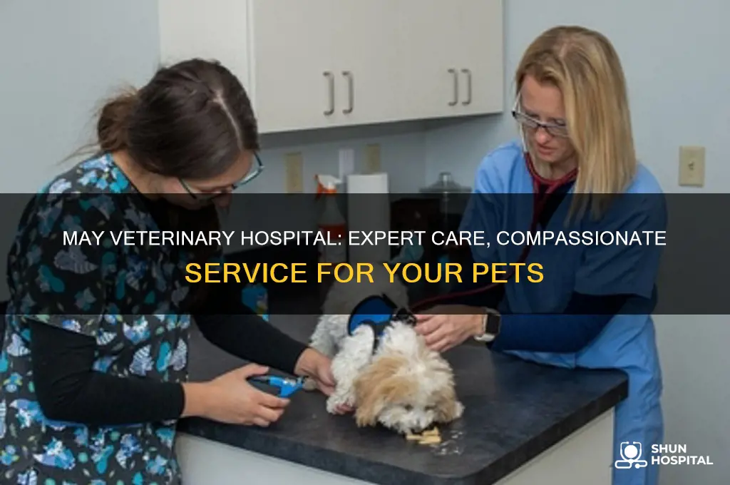 may veterinary hospital