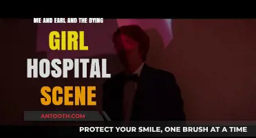 Me and Earl and the Dying Girl: Analyzing the Emotional Hospital Scene