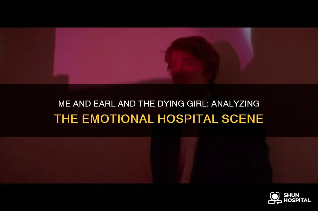 me and earl and the dying girl hospital scene