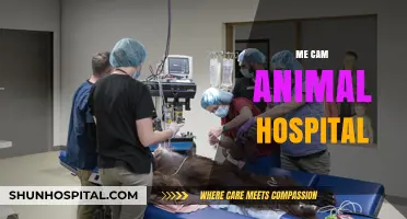 Me Cam Animal Hospital: Compassionate Care for Your Furry Friends