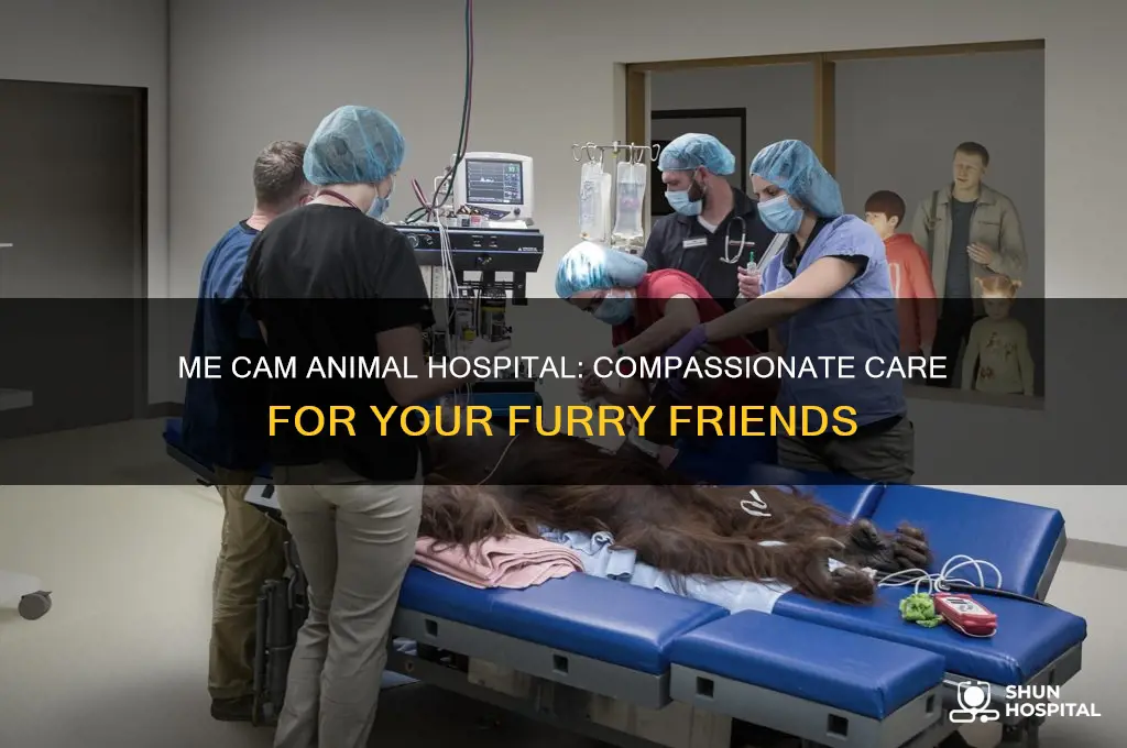 me cam animal hospital