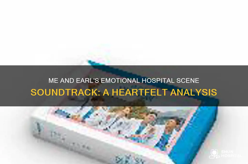 me earl and the dying girl hospital scene song