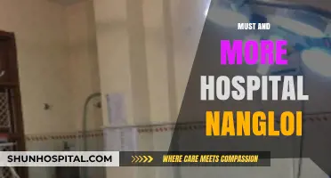 Must-Know Insights and More About Hospital Nangloi Facilities