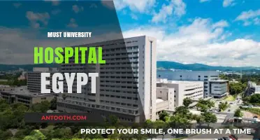 Exploring Must University Hospital Egypt: Excellence in Healthcare and Education