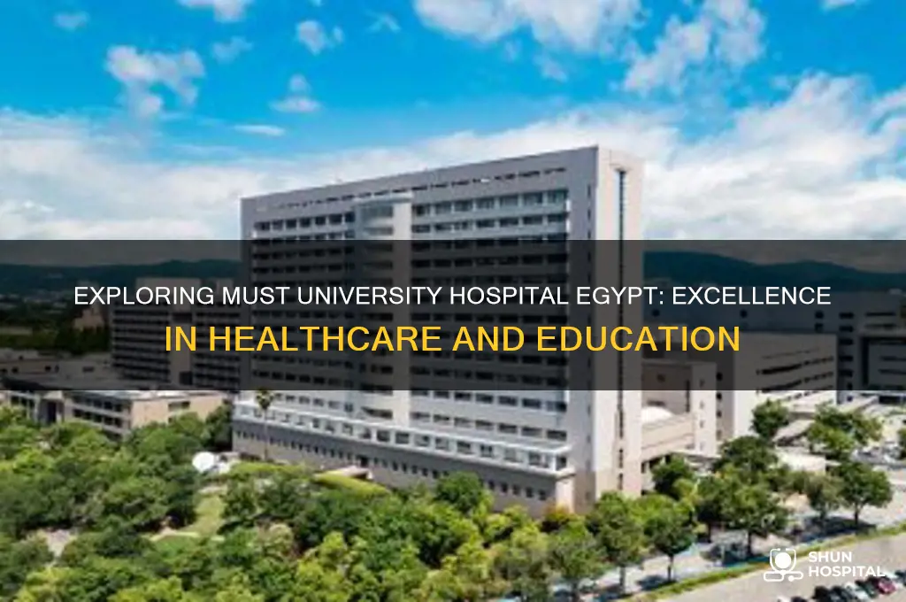 must university hospital egypt