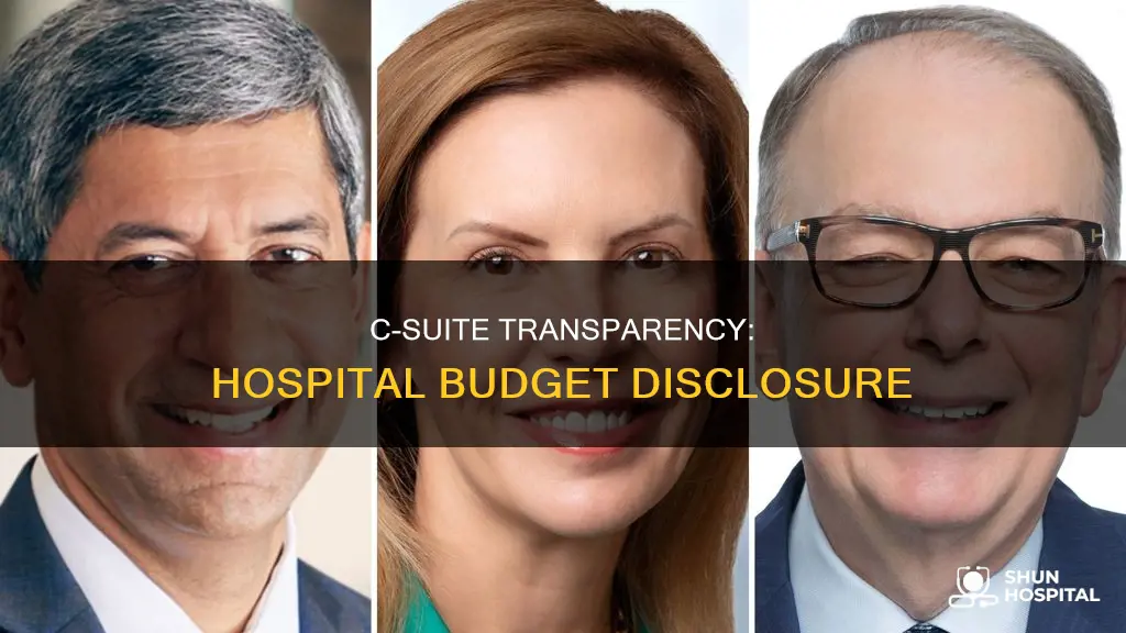 should ceo tell departments about hospitals buget