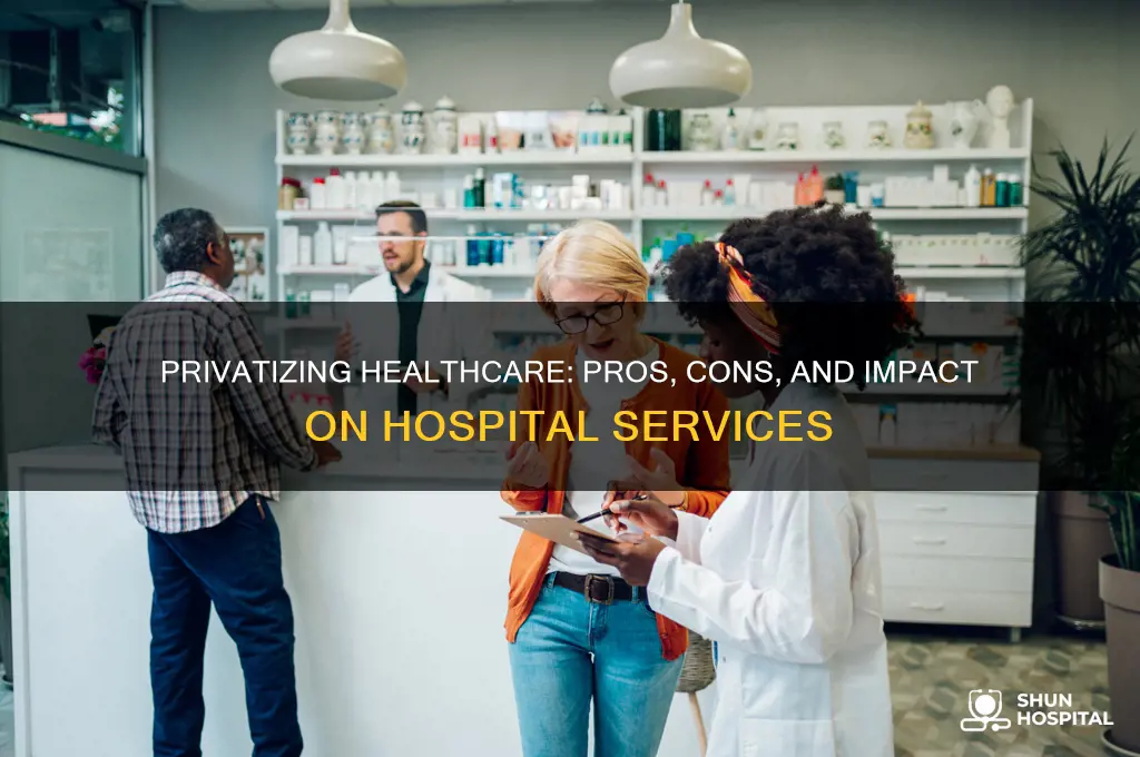 should hospital be pirvatized