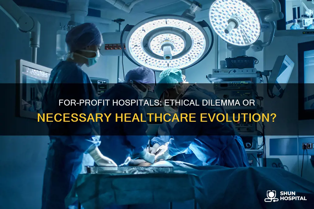 should hospitals be for profit