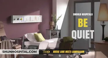 Should Hospitals Be Quiet? Balancing Healing Environments and Operational Needs