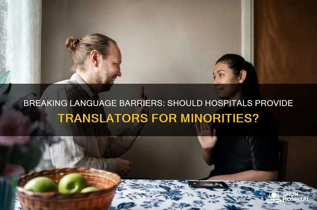 should hospitals provide a translator when curing the minorities