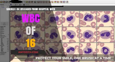 WBC Count of 16: Is It Safe for Hospital Discharge?