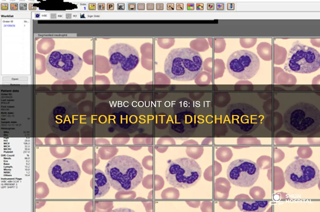 should i be released from hospital with wbc of 16