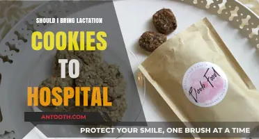 Lactation Cookies: Hospital Bag Must-Have?