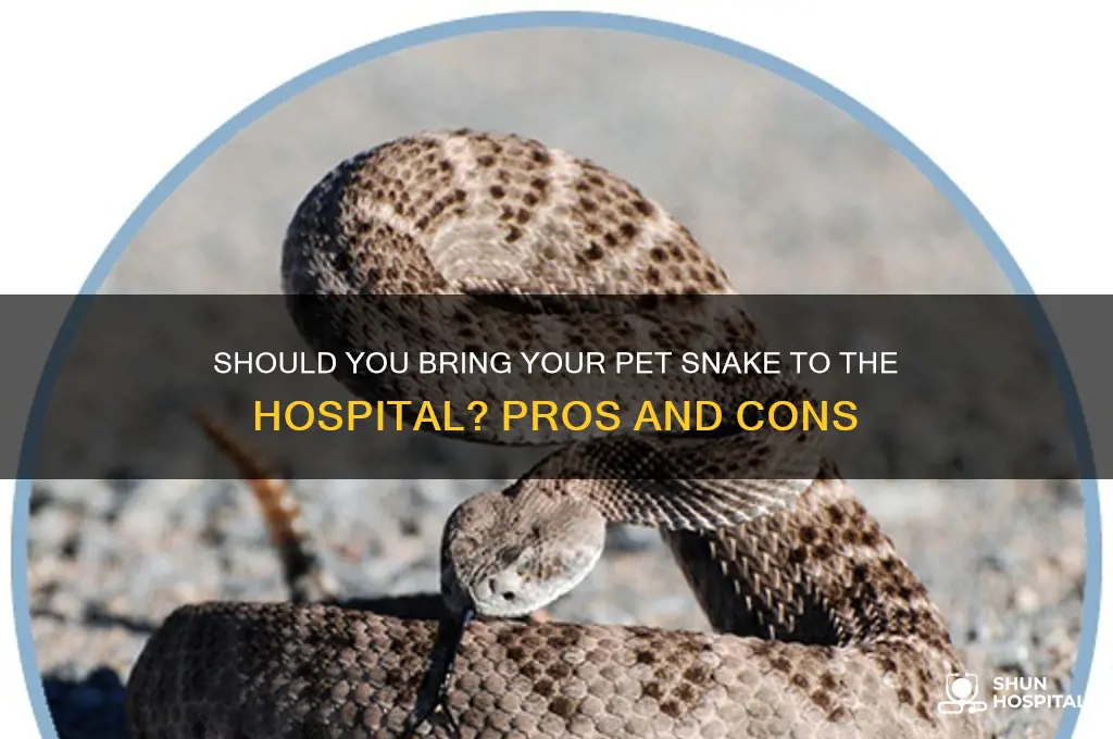 should i bring the snake with me to the hospital