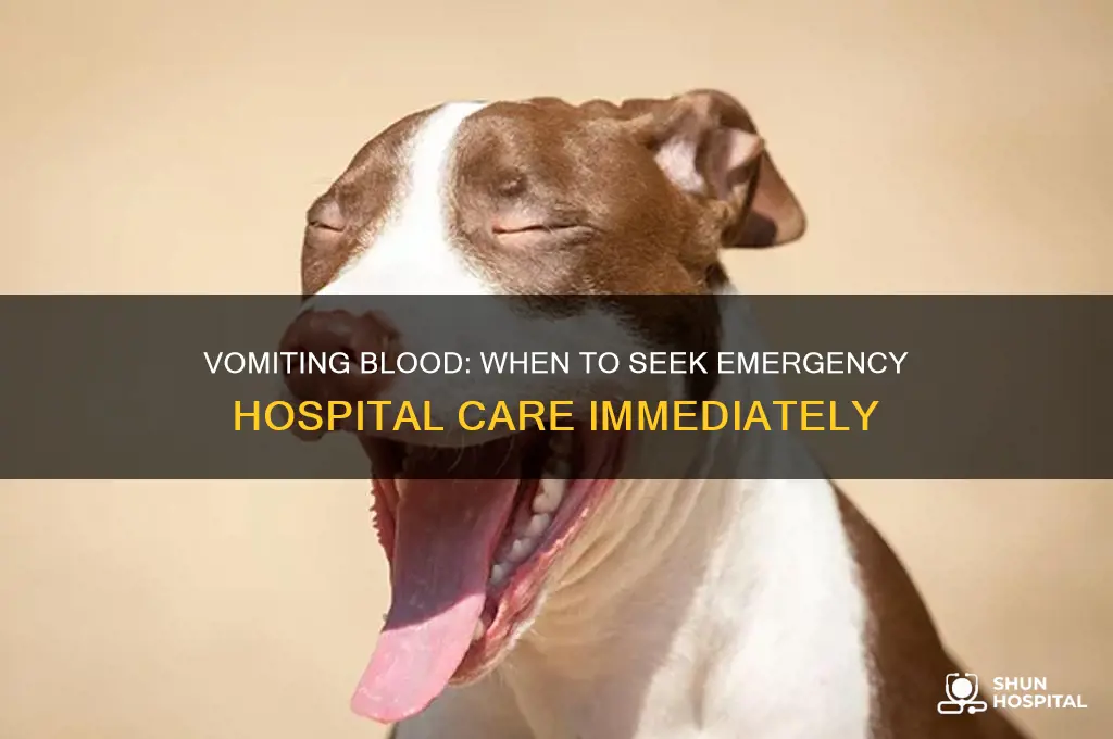 should i got to the hospital if i vomit blood