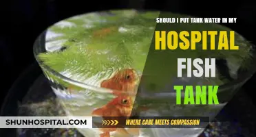 Is Tank Water Safe for Your Hospital Fish Tank? Pros and Cons