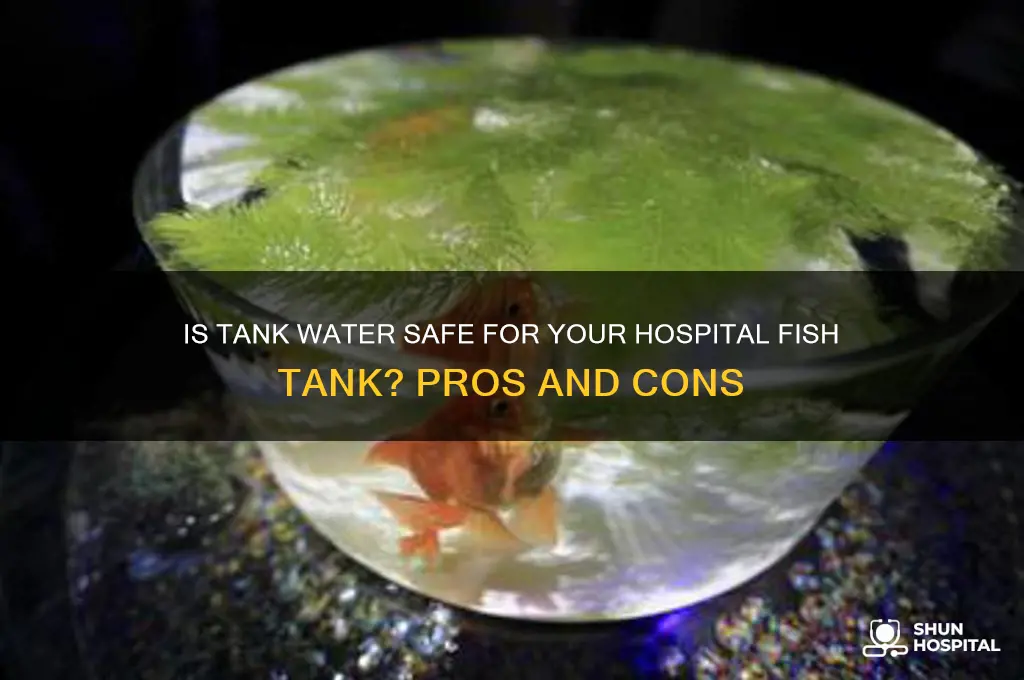 should i put tank water in my hospital fish tank